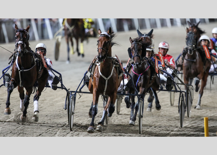 Gran Premio Augusto Calzolari