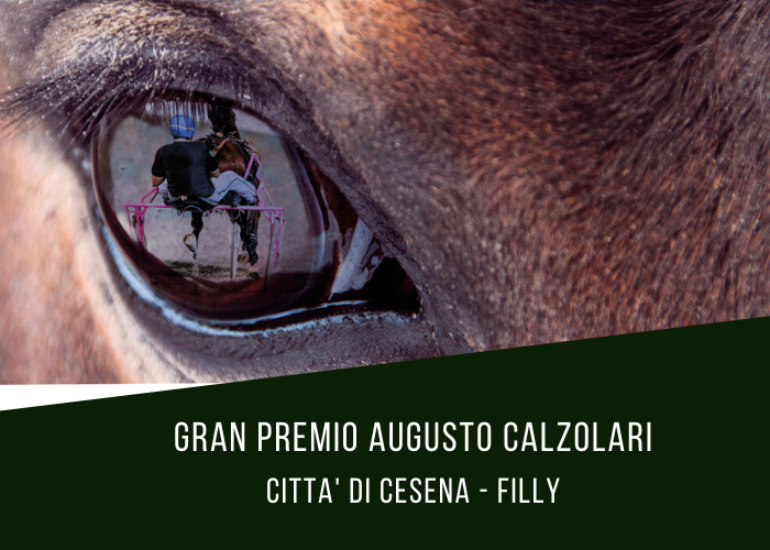 Gran Premio Augusto Calzolari, la versione al femminile del Città di Cesena